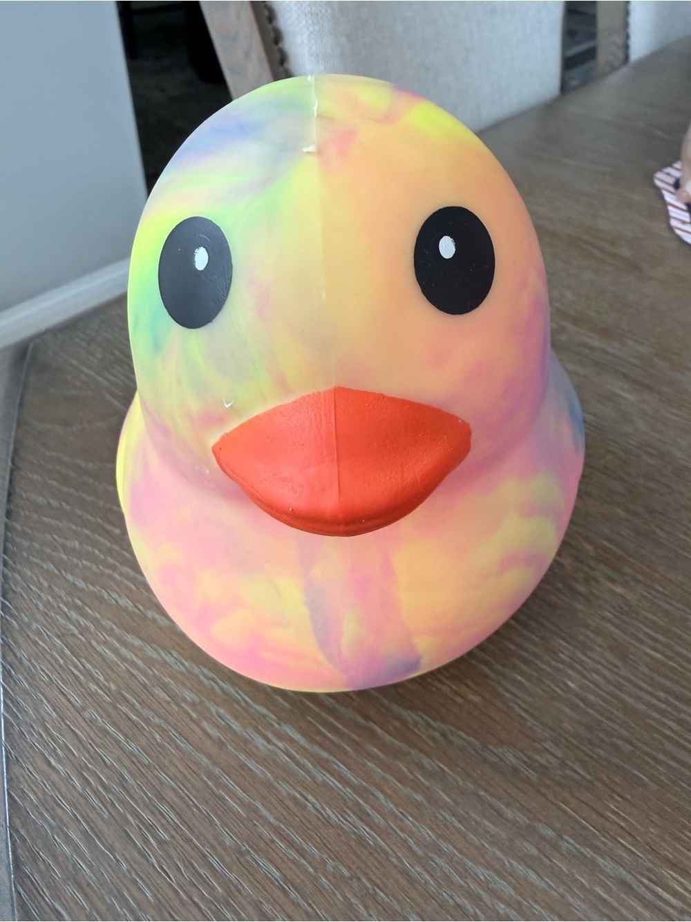 NWT Tie Dye Squishy Duck